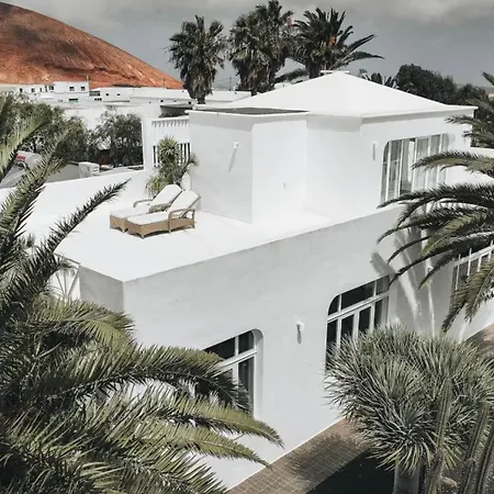 فيلة Amonita Tiagua