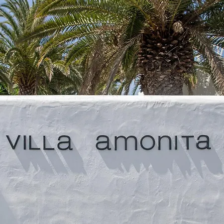 فيلة Amonita *