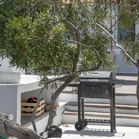 فيلة Amonita Tiagua